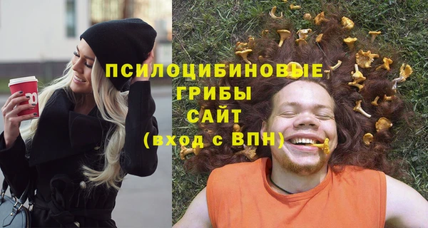 а пвп мука Богородск