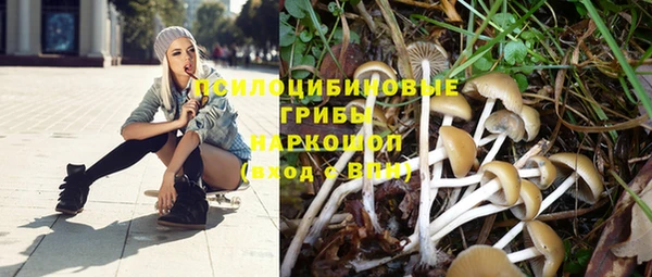 дистиллят марихуана Белокуриха