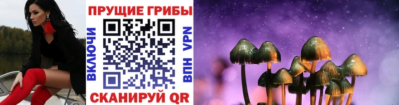 где купить наркоту  Короча  hydra маркетплейс  Галлюциногенные грибы прущие грибы 