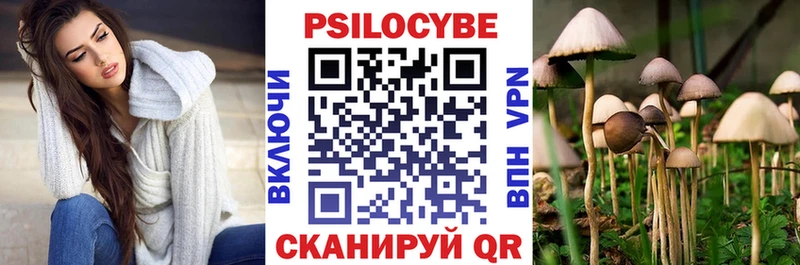 Псилоцибиновые грибы GOLDEN TEACHER Короча